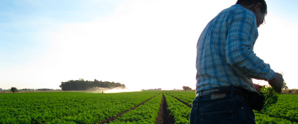 Institucional Florensa